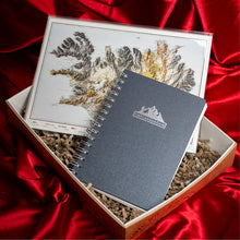 Hlaða mynd inn í gallerískoðara, Gjafapakki - Fjalladagbókin og fallegt íslandskort