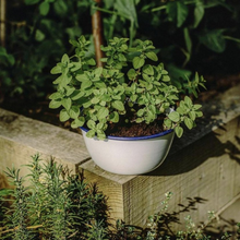 Hlaða mynd inn í gallerískoðara, Emalerað Falcon matreiðslusett