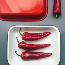 Hlaða mynd inn í gallerískoðara, Emalerað Falcon ofnsett