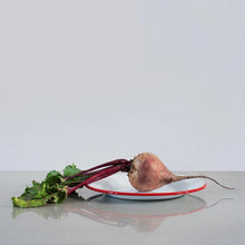 Hlaða mynd inn í gallerískoðara, Emaleraðir Falcon diskar