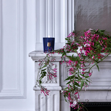 Hlaða mynd inn í gallerískoðara, Trudon kerti - ESTRÉL