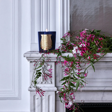 Hlaða mynd inn í gallerískoðara, Trudon kerti - MADURAÏ