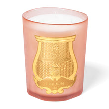 Hlaða mynd inn í gallerískoðara, Trudon kerti - TUILERIES