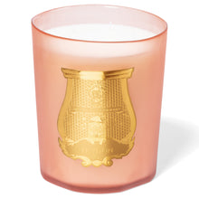 Hlaða mynd inn í gallerískoðara, Trudon kerti - TUILERIES