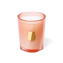 Hlaða mynd inn í gallerískoðara, Trudon kerti - TUILERIES