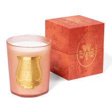 Hlaða mynd inn í gallerískoðara, Trudon kerti - TUILERIES