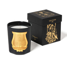 Hlaða mynd inn í gallerískoðara, Trudon kerti - MARY