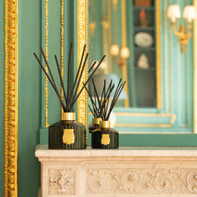 Hlaða mynd inn í gallerískoðara, Trudon Húsilmur - CYRNOS