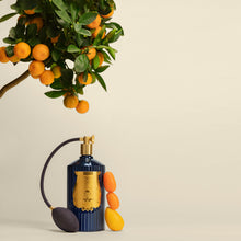 Hlaða mynd inn í gallerískoðara, Trudon Húsilmur (Sprey) - REGGIO