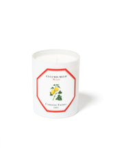 Hlaða mynd inn í gallerískoðara, Carrière Frères kerti - Melóna, 185gr.