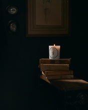 Hlaða mynd inn í gallerískoðara, Carrière Frères kerti - Damaskurós, 185gr.