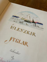 Hlaða mynd inn í gallerískoðara, Íslenskir Fuglar eftir Benedikt Gröndal