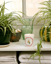 Hlaða mynd inn í gallerískoðara, Carrière Frères kerti - Melóna, 185gr.