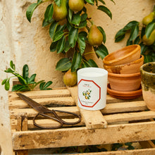 Hlaða mynd inn í gallerískoðara, Carrière Frères kerti - Pera, 185gr.