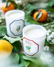 Hlaða mynd inn í gallerískoðara, Carrière Frères kerti - Sítróna, 185gr.