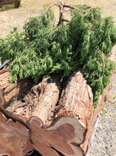 Hlaða mynd inn í gallerískoðara, Sailor minningarpenni vegna endurreisn Hiroshima verksmiðjunnar