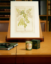 Hlaða mynd inn í gallerískoðara, Carrière Frères Museum kerti - Absinthe, 185gr.