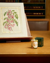 Hlaða mynd inn í gallerískoðara, Carrière Frères Museum kerti - Acacia, 185gr.