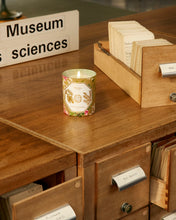 Hlaða mynd inn í gallerískoðara, Carrière Frères Museum kerti - Acacia, 185gr.