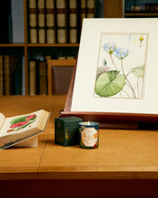 Hlaða mynd inn í gallerískoðara, Carrière Frères Museum kerti - Vatnalilja, 185gr.