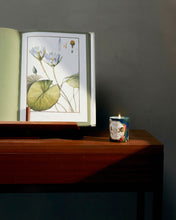 Hlaða mynd inn í gallerískoðara, Carrière Frères Museum kerti - Vatnalilja, 185gr.