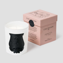 Hlaða mynd inn í gallerískoðara, Trudon kerti - ROSE POIVRÉE
