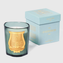 Hlaða mynd inn í gallerískoðara, Trudon kerti - FIGUERIE
