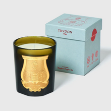 Hlaða mynd inn í gallerískoðara, Trudon kerti - SPIRITUS SANCTI
