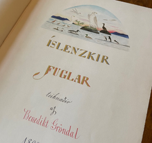 Hlaða mynd inn í gallerískoðara, Íslenskir Fuglar eftir Benedikt Gröndal
